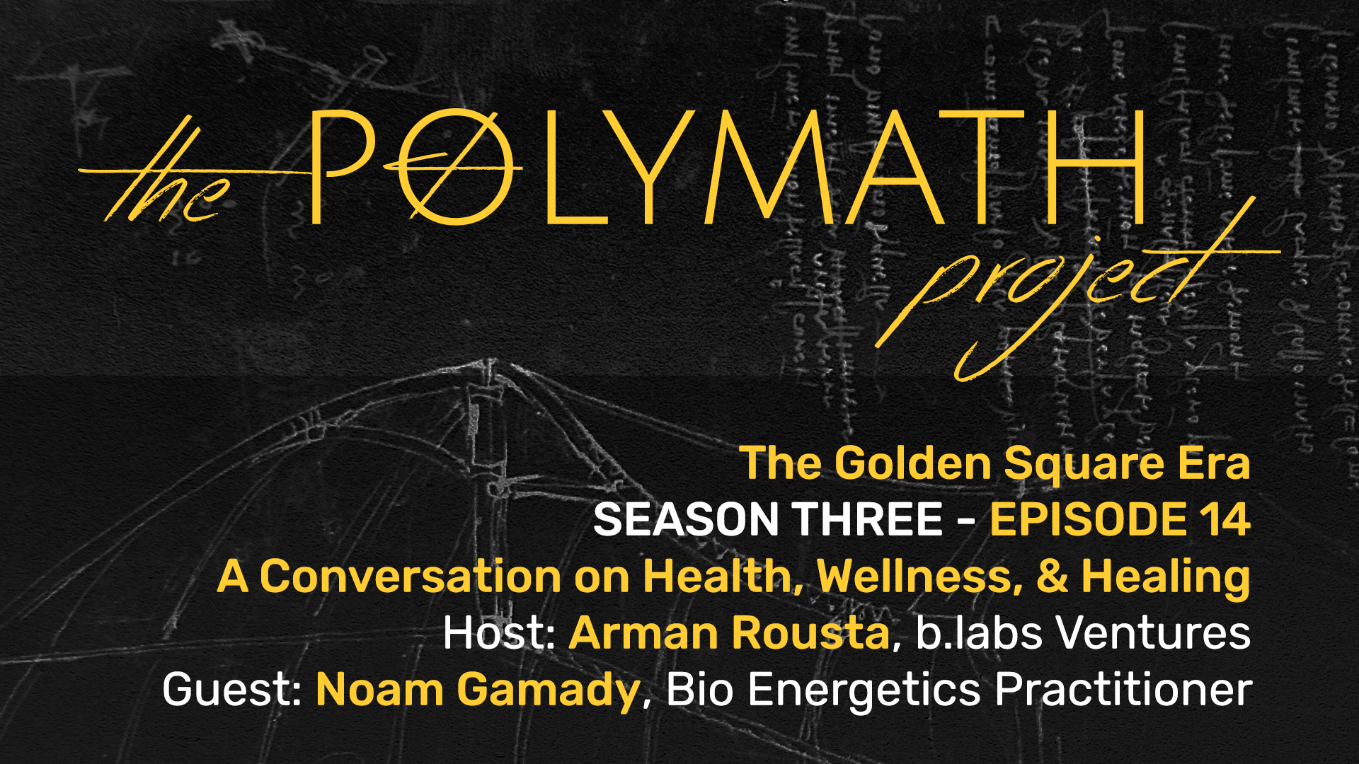 Featured image for “A Conversation on Health, Wellness, & Healing | The Polymath Project – S03 E14”