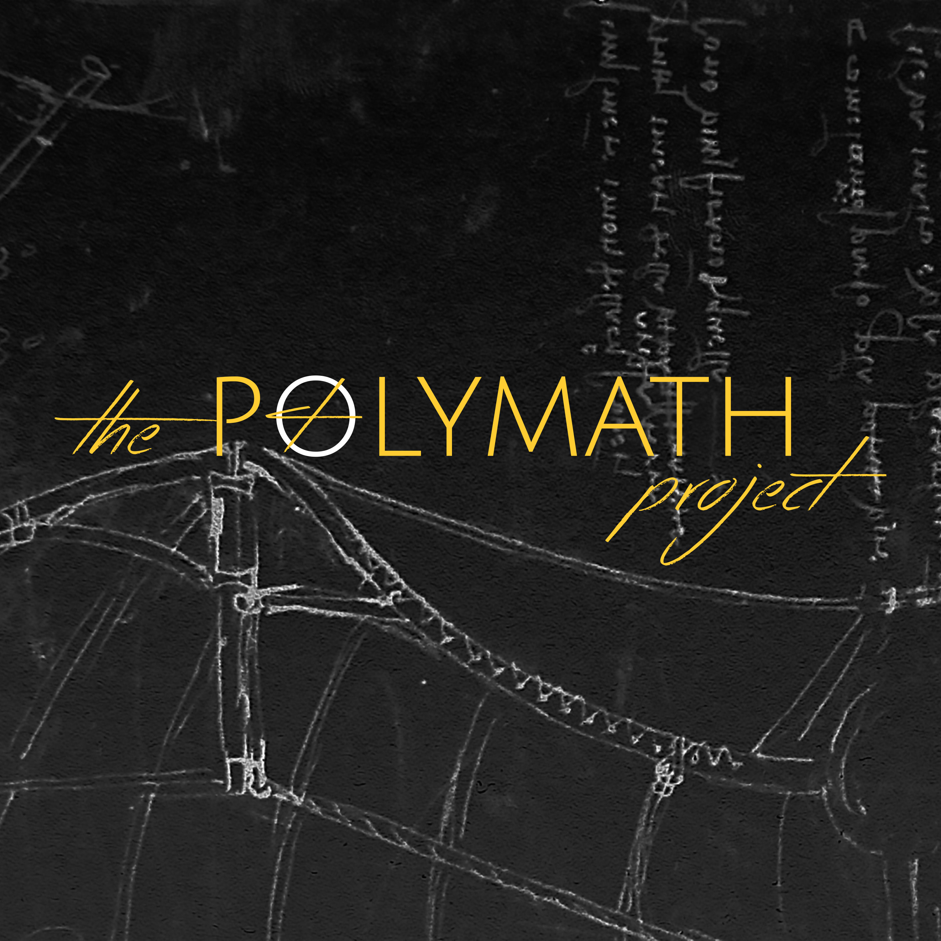 The Polymath Project